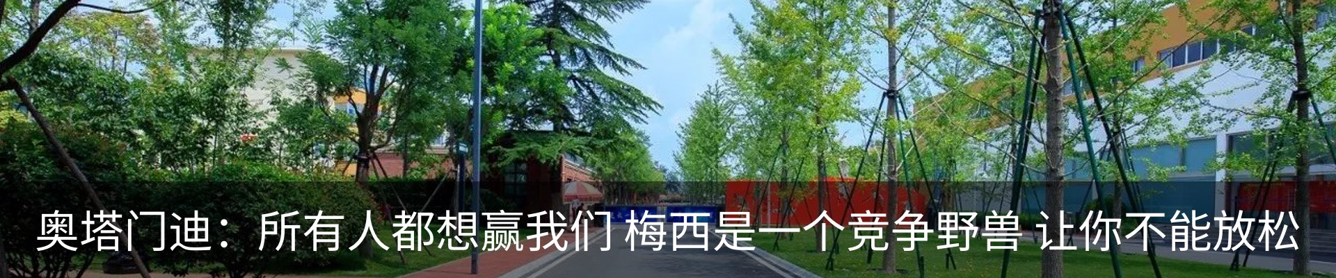 新闻动态