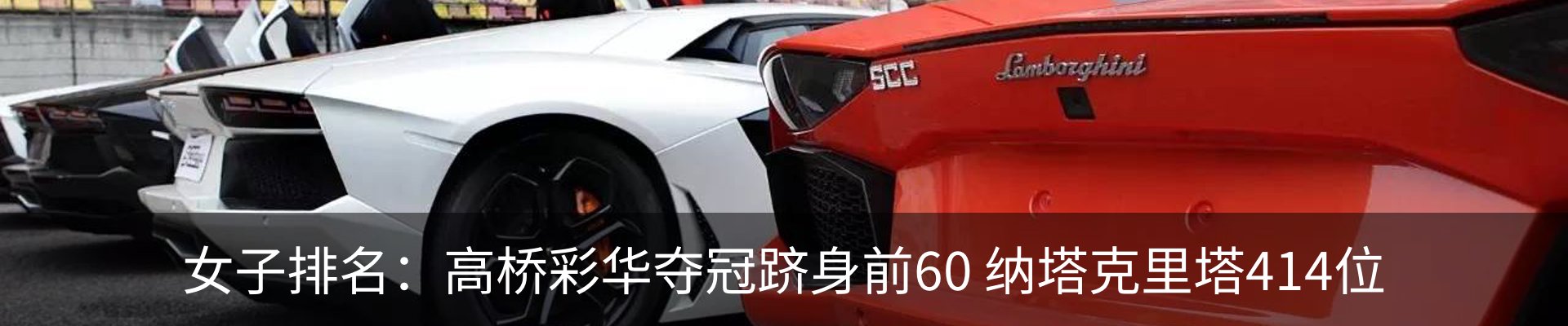 新闻动态