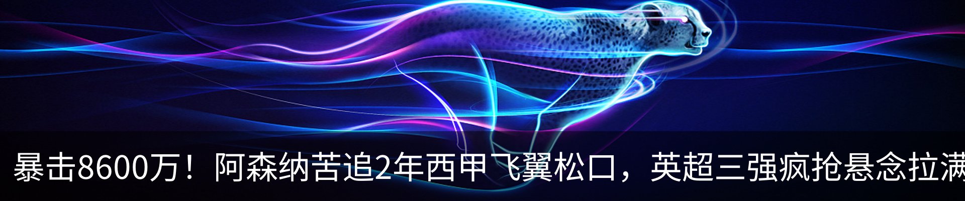 新闻动态