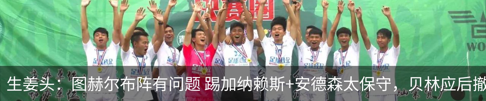 新闻动态