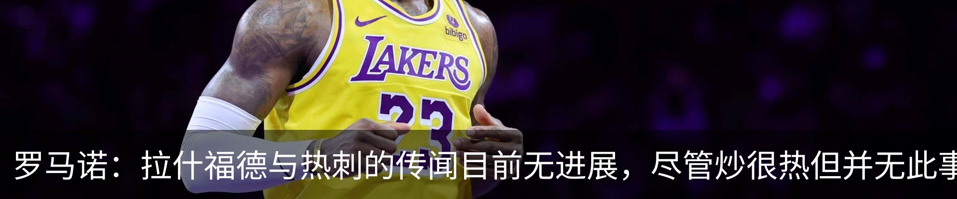 新闻动态